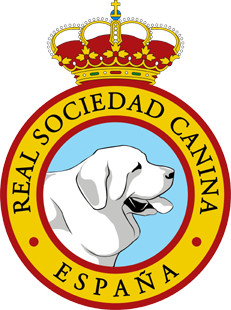 Acuerdos Comité de Dirección y Comisiones